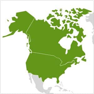 Press about Ukraine in US and Canada. MAR 20, 2015