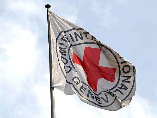 Red Cross brings over 300 tonnes of humanitarian aid to occupied Donbas
