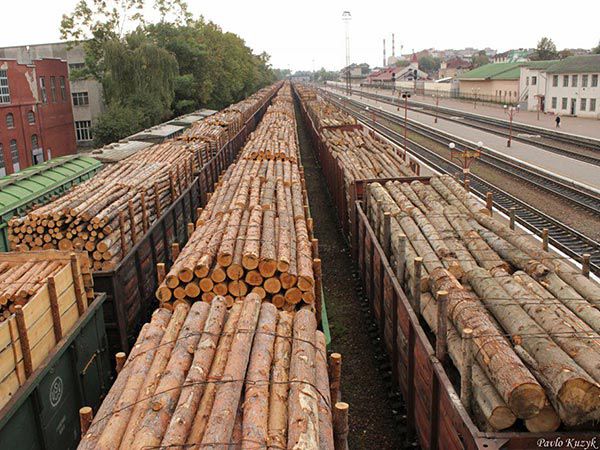 EU explains pressure on Ukraine to lifting of moratorium on round timber export and denies manipulation of visa liberalization