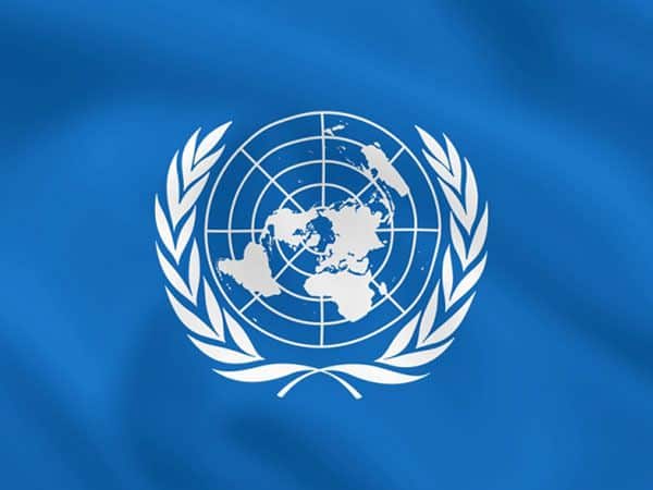 Yanukovych asked Russia to deploy troops in Ukraine in 2014 – UN official document