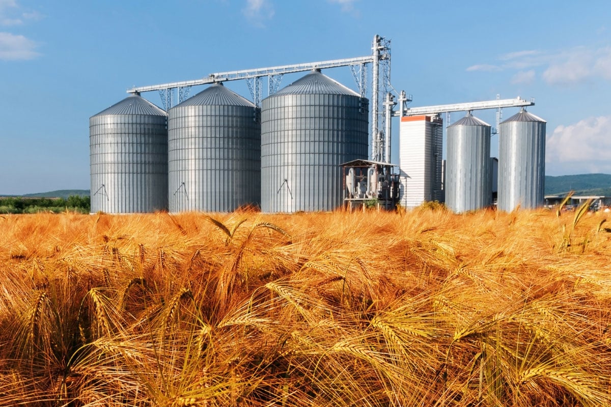Russian troops destroyed the second largest grain terminal in Ukraine, – EU High Representative