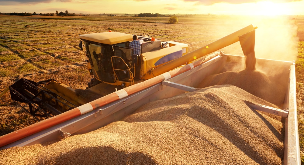 Russia stole at least $1 billion worth of Ukrainian wheat