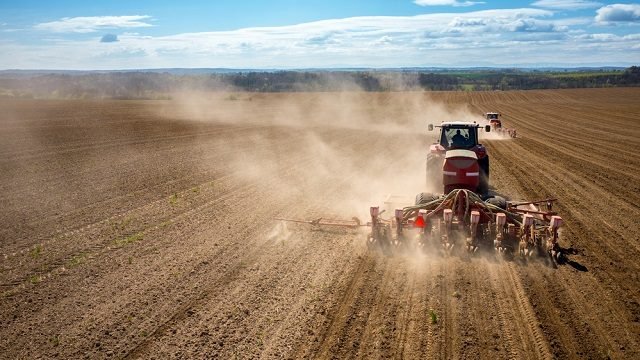 Ukraine lost 25% of sown areas due to the war, – Deputy Minister of Agrarian Policy and Food of Ukraine