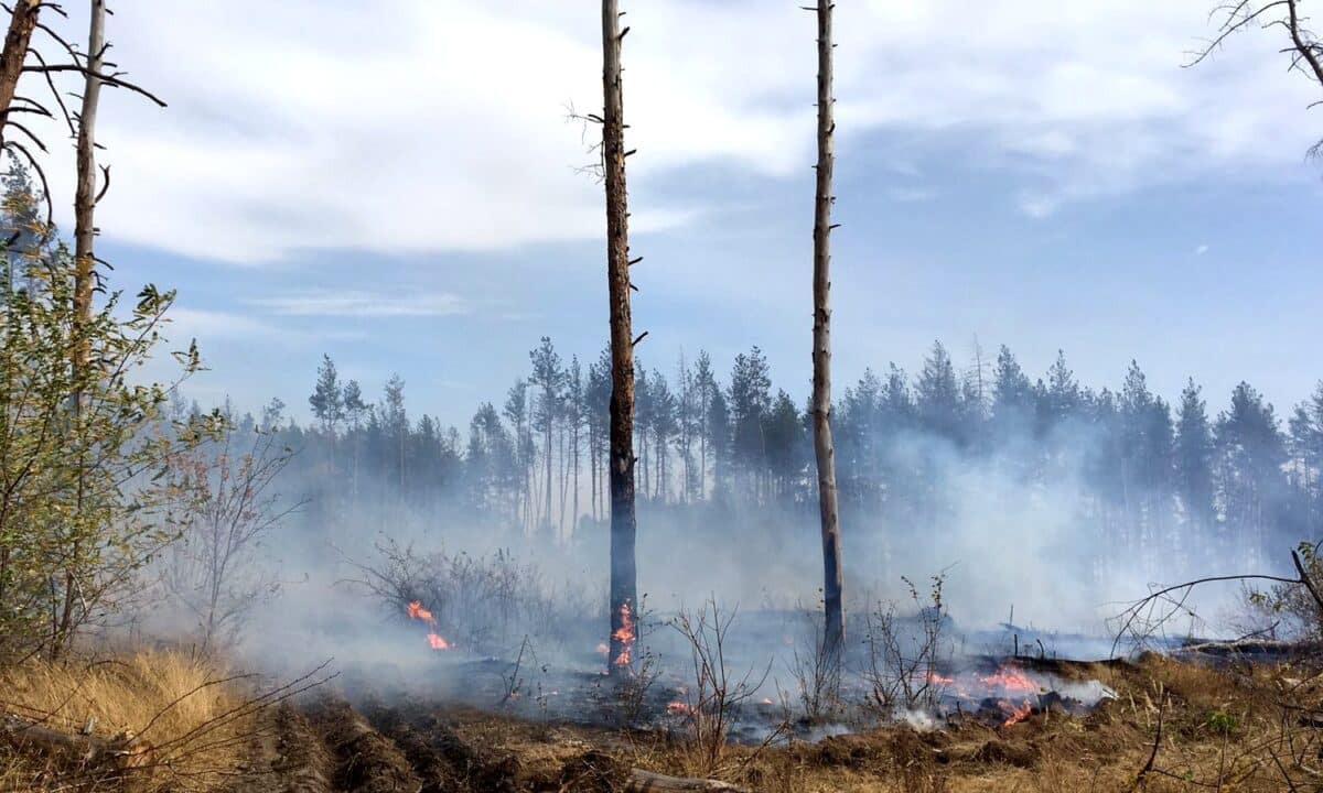 Russian crimes caused damages to the environment of the Luhansk region in the amount of UAH 475B