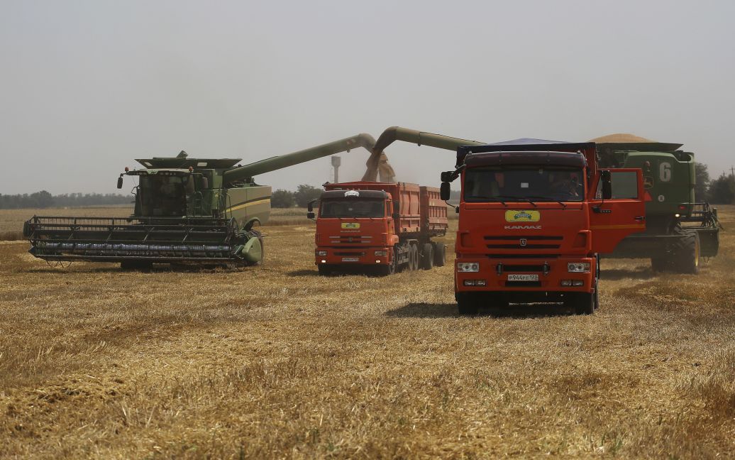 Ukraine lost 40% of the early grain harvest due to the war