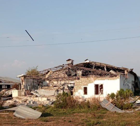 Russian troops hit a farm in Ukraine’s south, about 1000 livestock died: photos