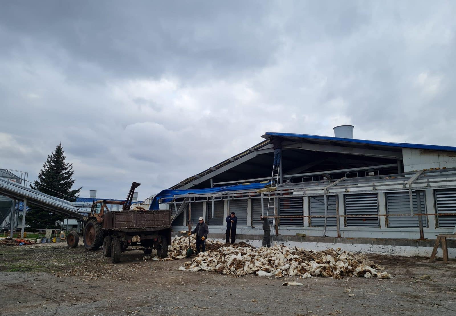 800,000 chickens were killed: how Russians destroyed an agricultural complex in the Donetsk region for the second time